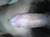 20110905175621jpg