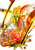�G���X