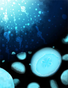 20120809141255jpg
